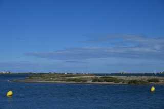 DSC_5982.JPG