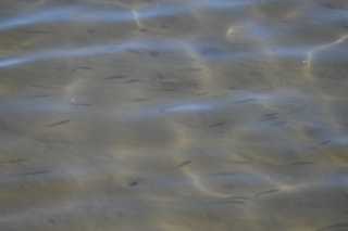 DSC_5990.JPG