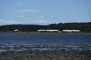DSC_6016.JPG