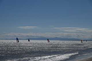 DSC_6050.JPG
