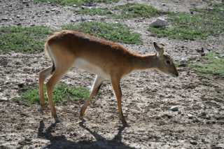 DSC_6139.JPG