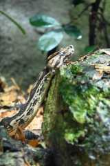 DSC_6156.JPG