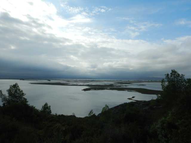 DSCN0681.JPG