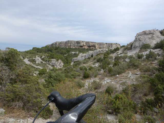 DSCN0705.JPG