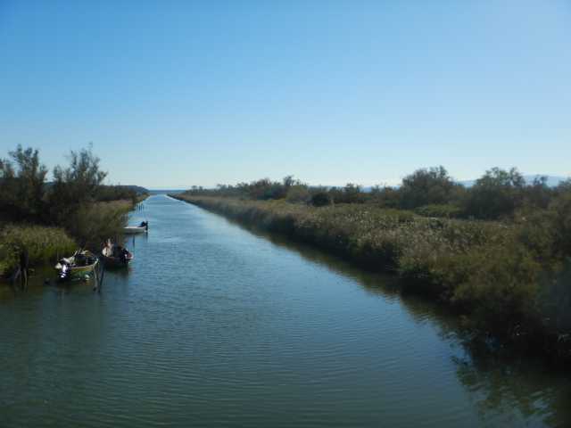 DSCN0720.JPG