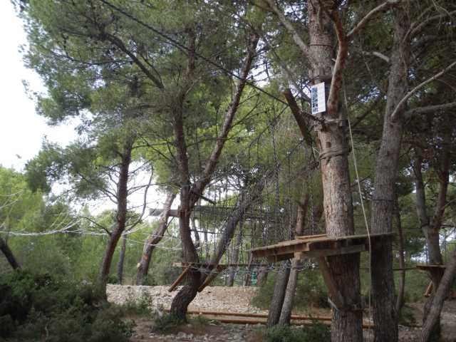 DSCN0739.JPG