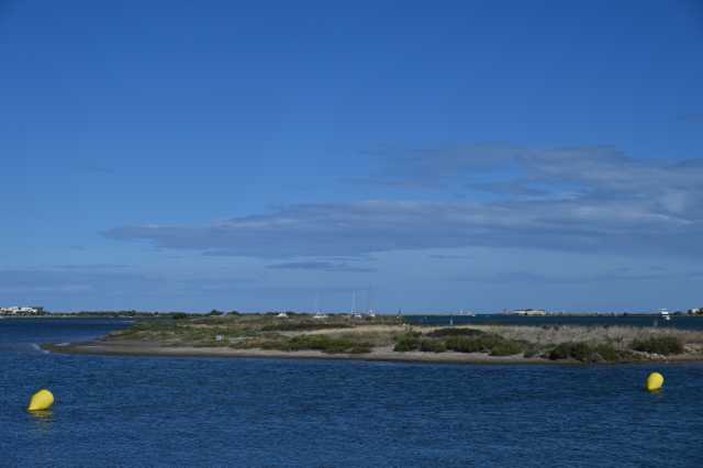 DSC_5982.JPG