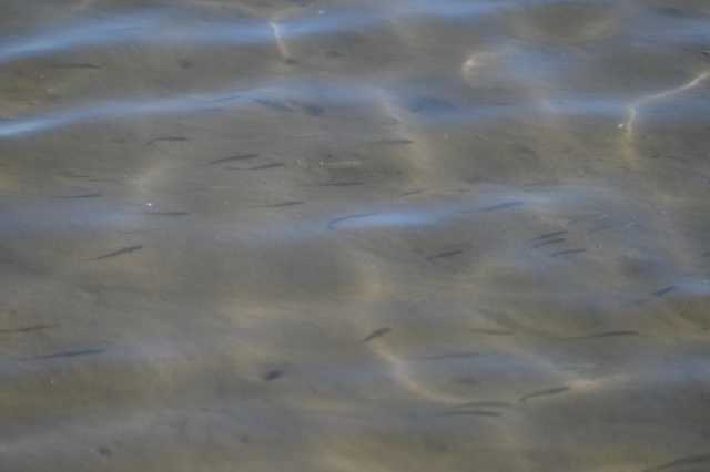 DSC_5990.JPG