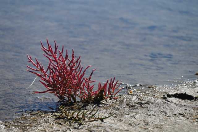 DSC_6013.JPG