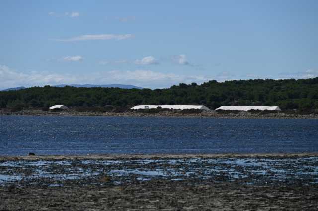 DSC_6016.JPG