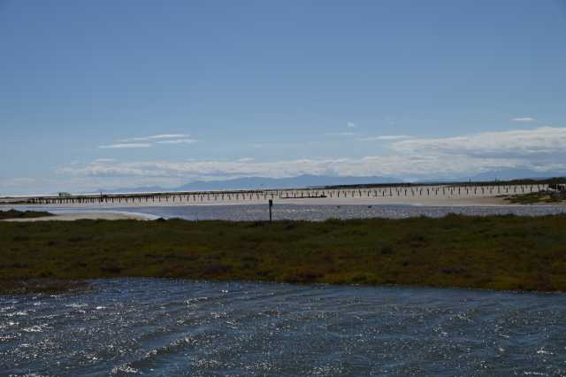 DSC_6019.JPG