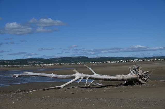 DSC_6059.JPG