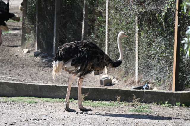 DSC_6121.JPG