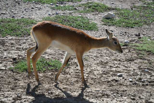 DSC_6139.JPG