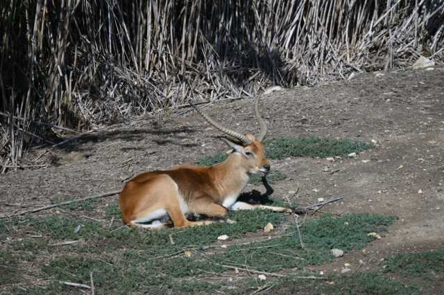 DSC_6142.JPG