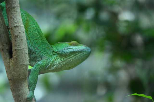 DSC_6157.JPG