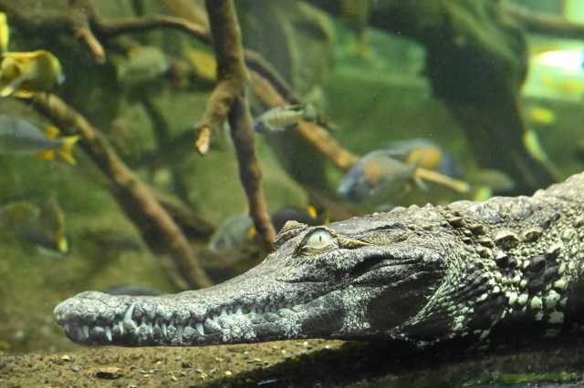 DSC_6173.JPG