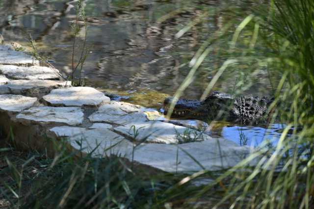 DSC_6216.JPG