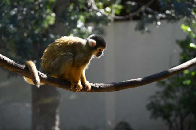 DSC_6245.JPG