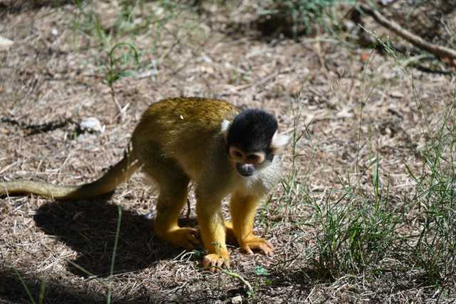 DSC_6269.JPG