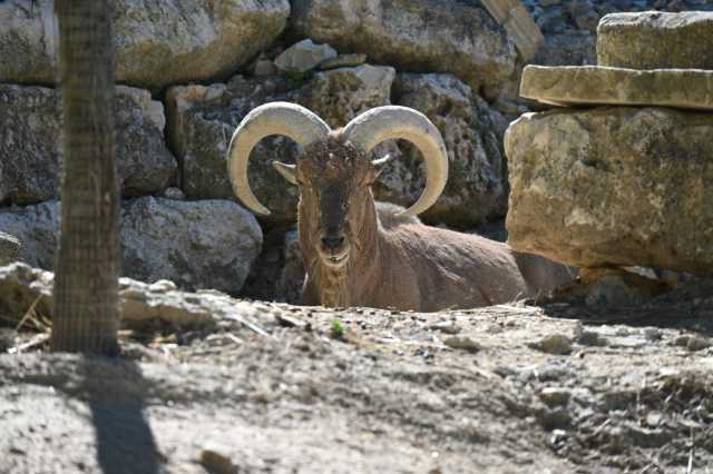 DSC_6284.JPG