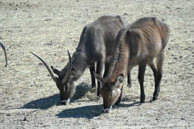 DSC_6403.JPG
