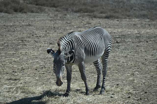 DSC_6407.JPG
