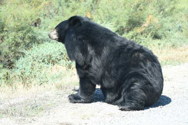 DSC_6435.JPG