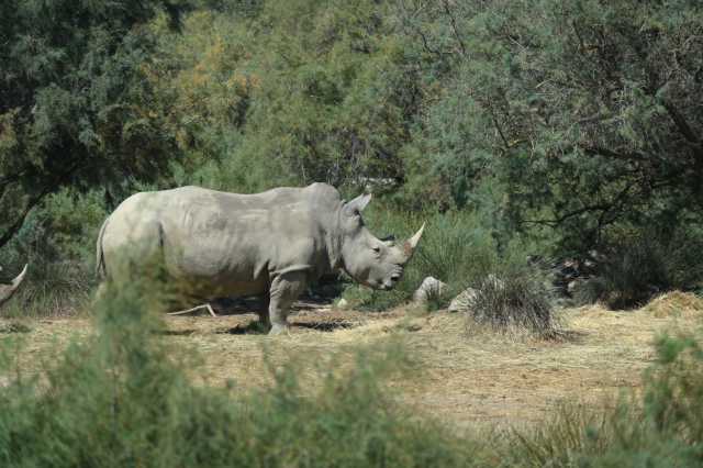 DSC_6459.JPG