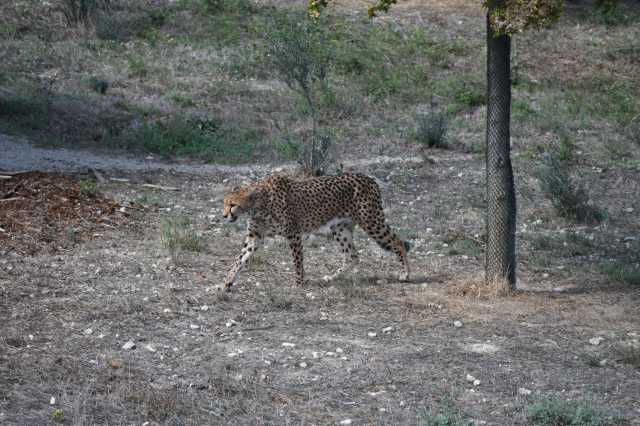 DSC_6556.JPG