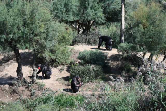 DSC_6605.JPG