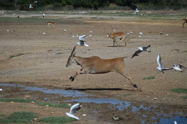 DSC_6632.JPG