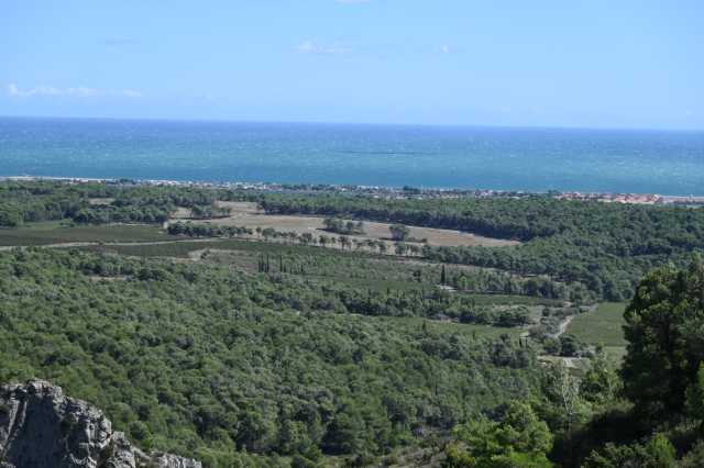 DSC_6785.JPG