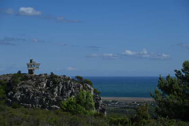 DSC_6789.JPG