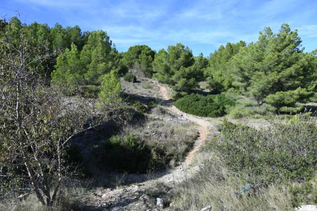 DSC_6981.JPG
