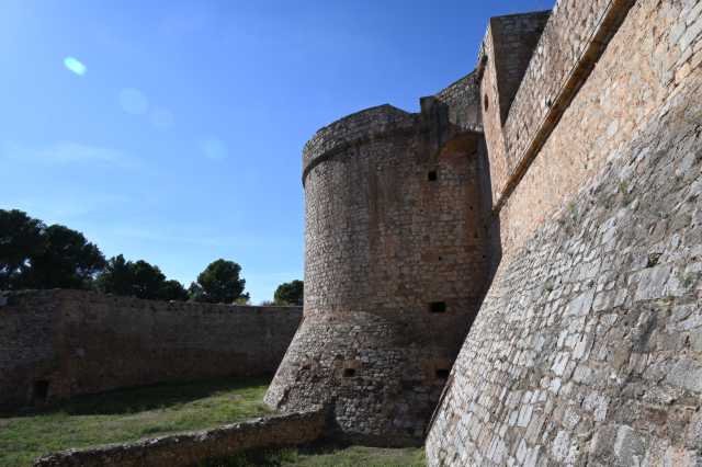 DSC_7077.JPG