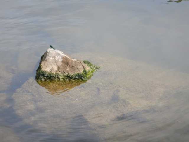 DSCN0597.JPG