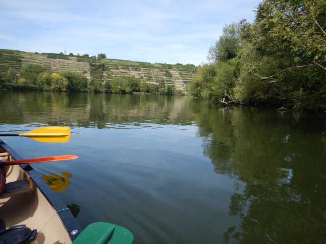 DSCN0610.JPG