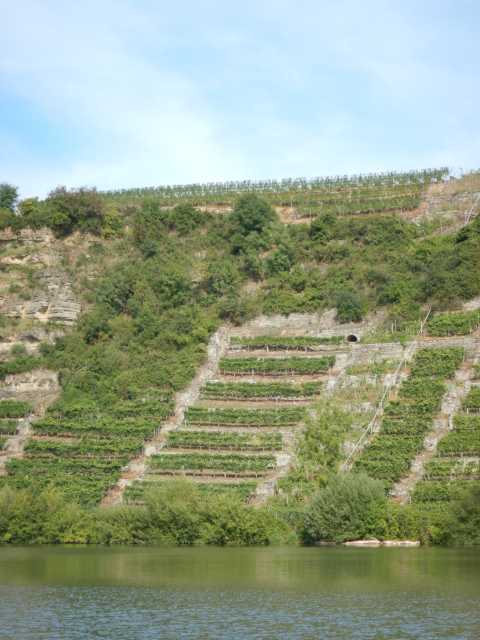 DSCN0634.JPG