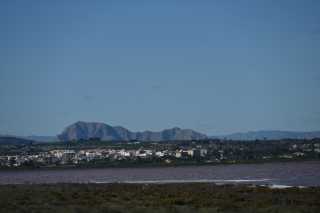 DSC_7711.JPG