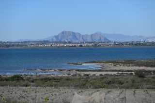 DSC_7732.JPG