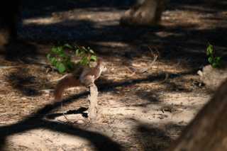 DSC_7738.JPG