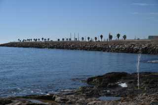 DSC_7836.JPG