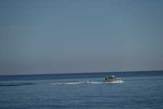 DSC_7870.JPG