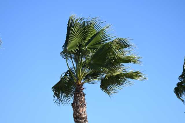 DSC_7642.JPG