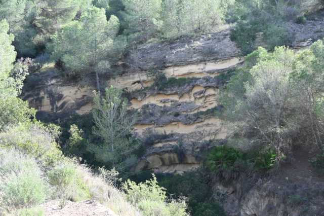 DSC_7673.JPG