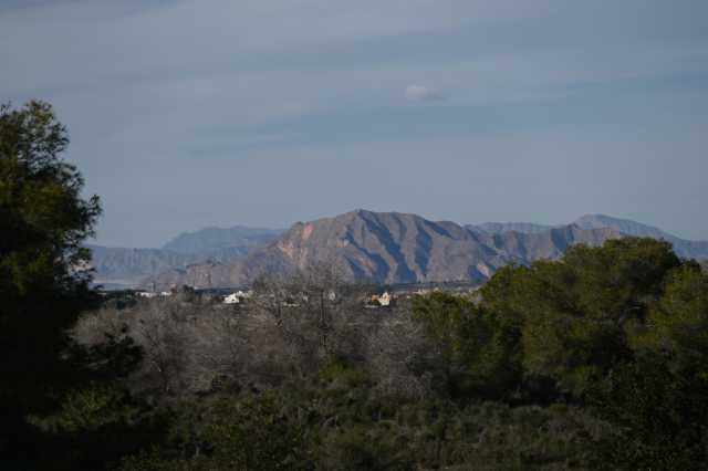 DSC_7676.JPG