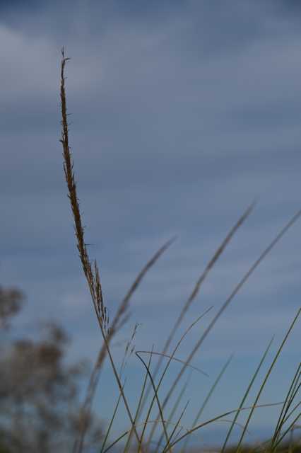 DSC_7679.JPG