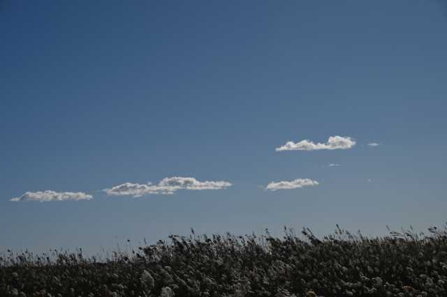 DSC_7710.JPG