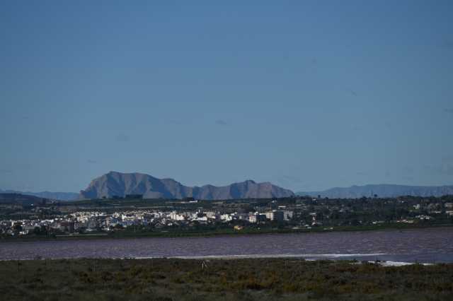 DSC_7711.JPG
